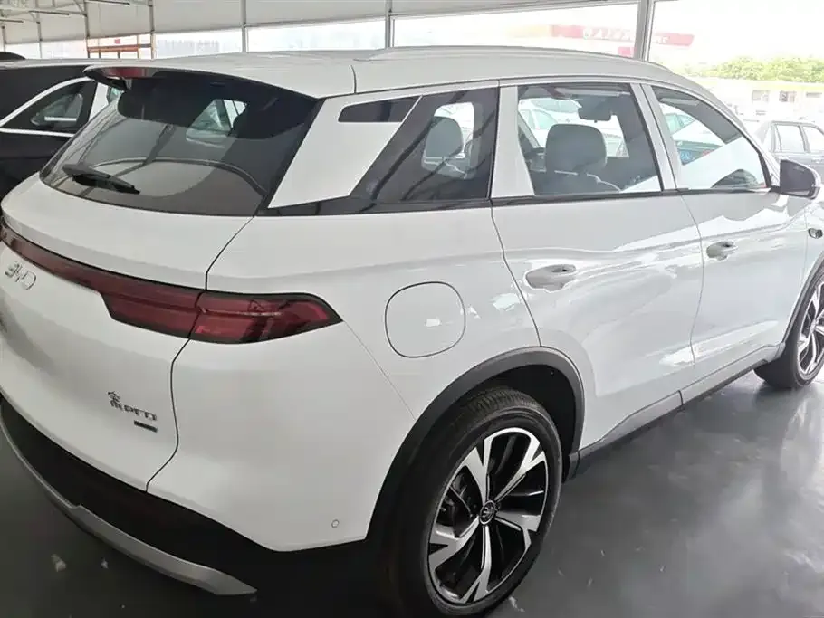 BYD Pro New Energy — фото 9