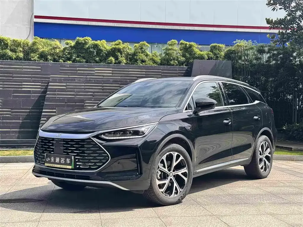 BYD Tang New Energy — фото 1