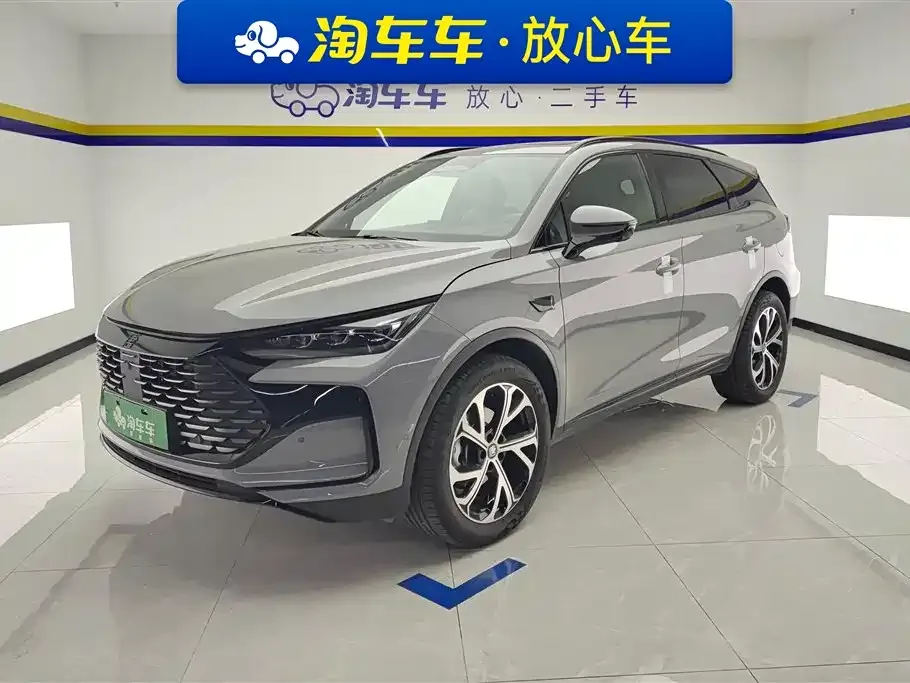 BYD Tang New Energy — фото 1