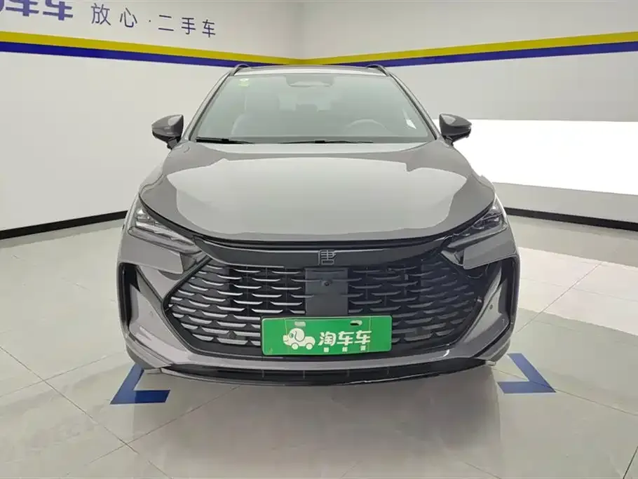 BYD Tang New Energy — фото 3