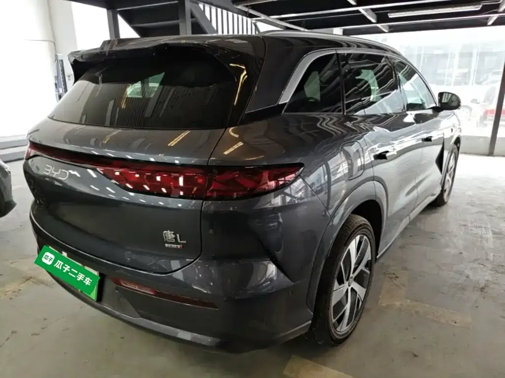 BYD Tang L — фото 6