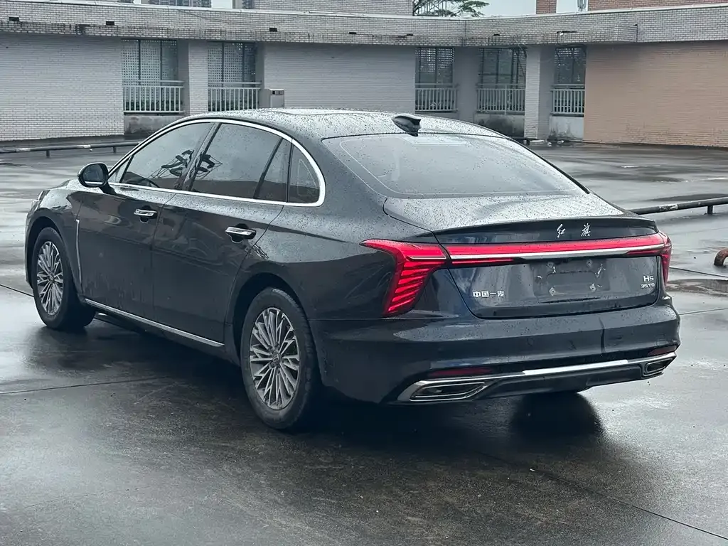 Hongqi H5 2023 из CN, фото 2