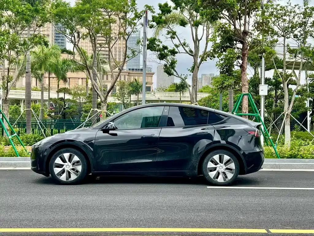 Tesla Model Y — фото 8