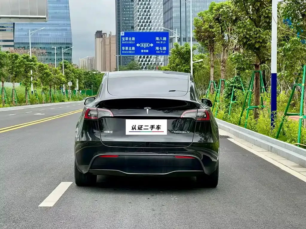 Tesla Model Y — фото 5