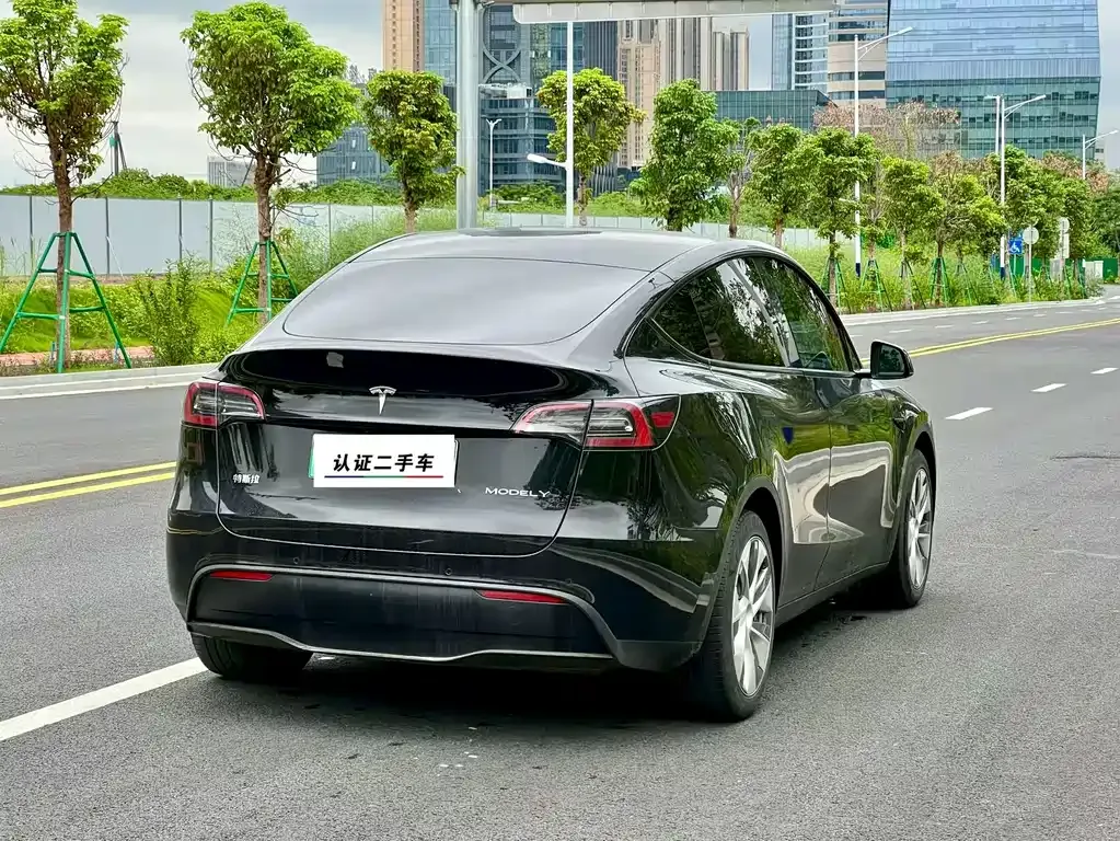 Tesla Model Y — фото 9