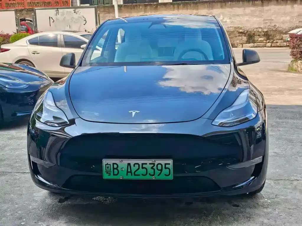 Tesla Model Y — фото 1