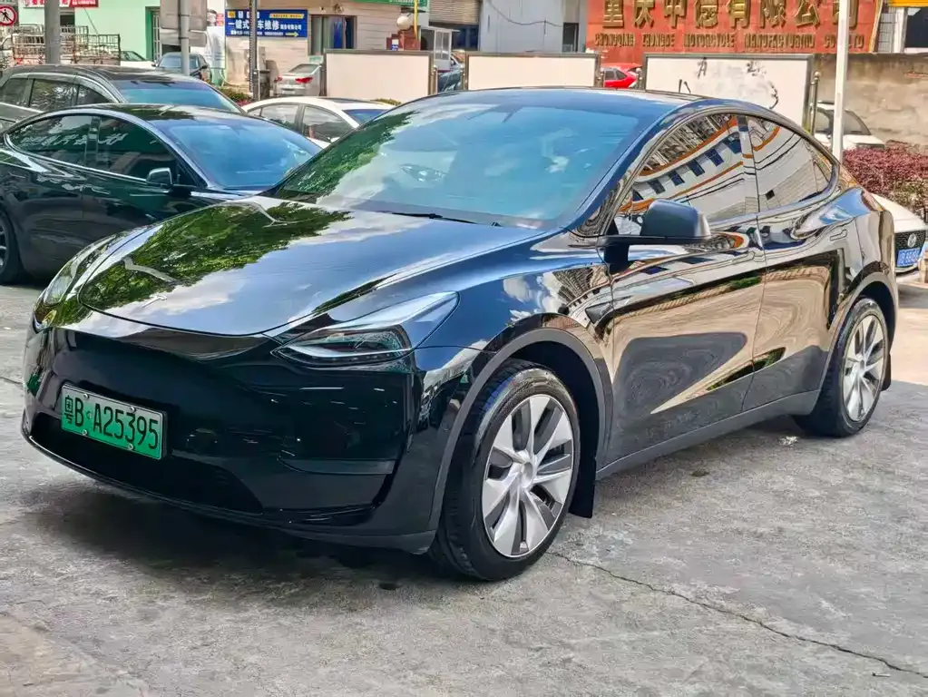 Tesla Model Y — фото 7