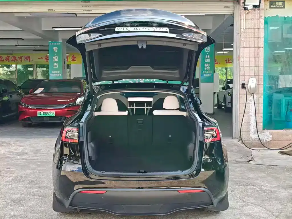 Tesla Model Y — фото 4