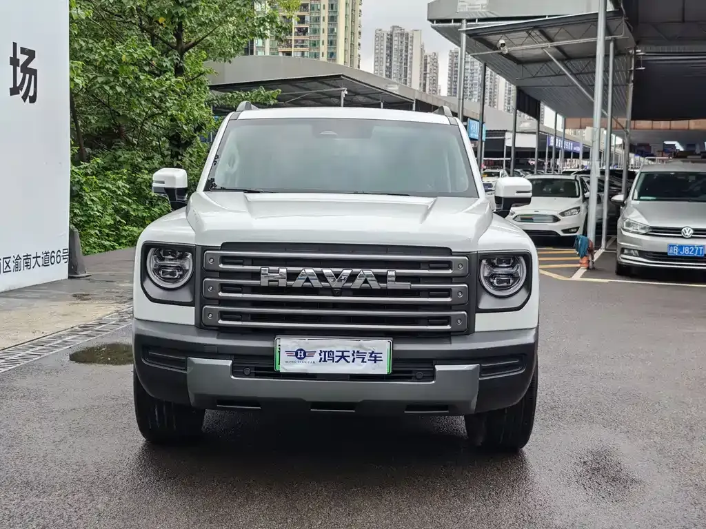 Haval Menglong New Energy — фото 9