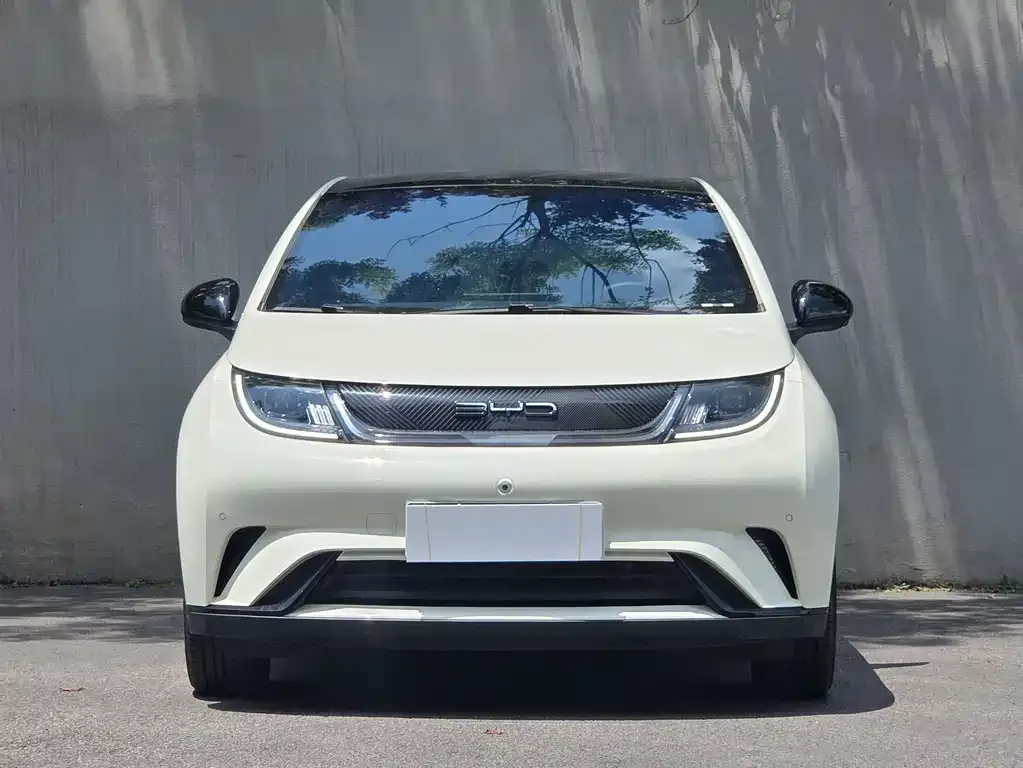 BYD Dolphin 2023 из CN, фото 5