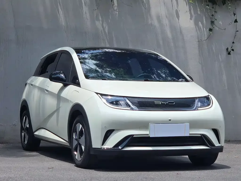 BYD Dolphin 2023 из CN, фото 4