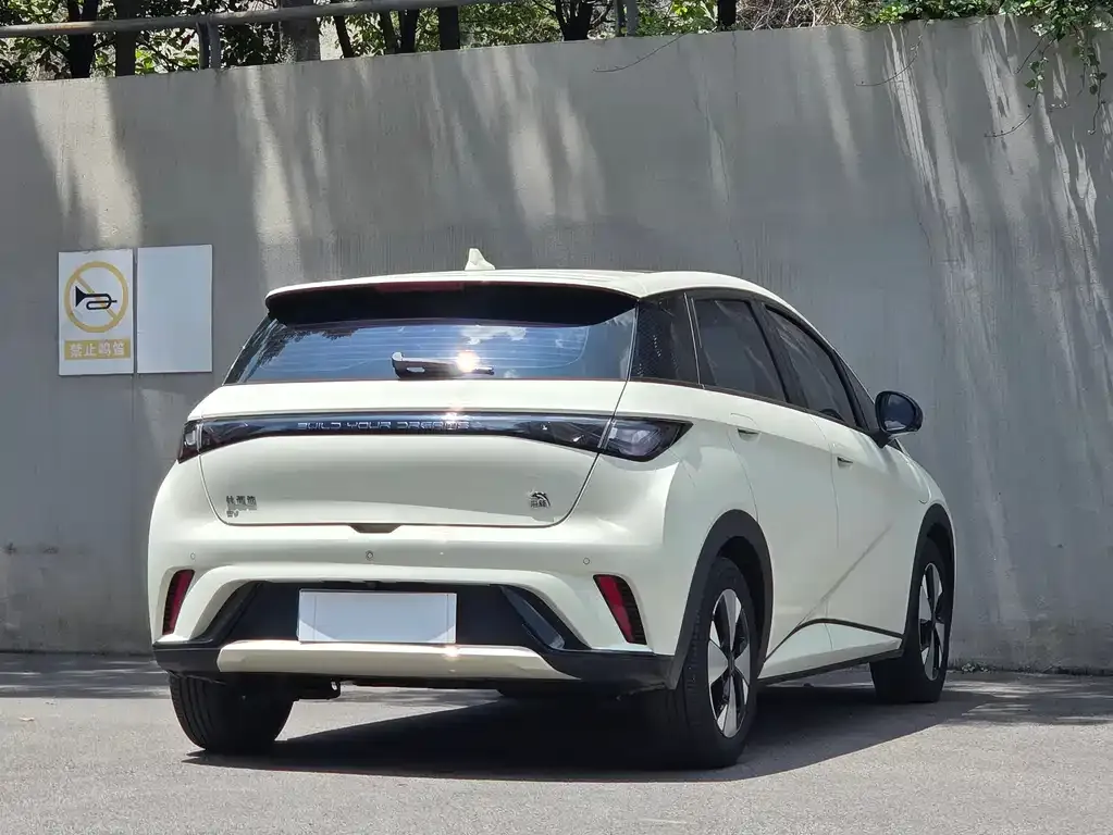 BYD Dolphin 2023 из CN, фото 6