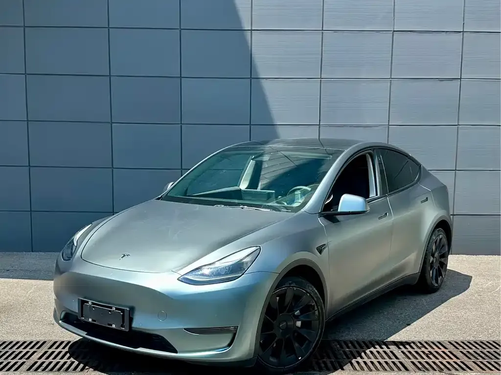 Tesla Model Y 2021 из CN, фото 1
