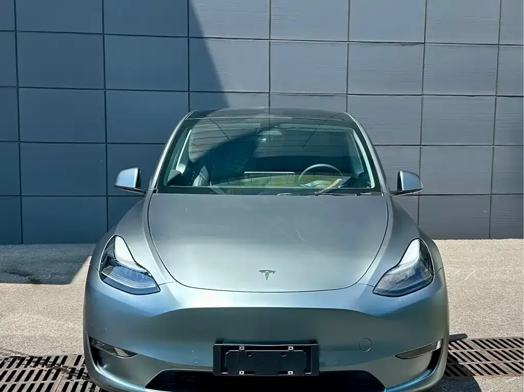 Tesla Model Y 2021 из CN, фото 7