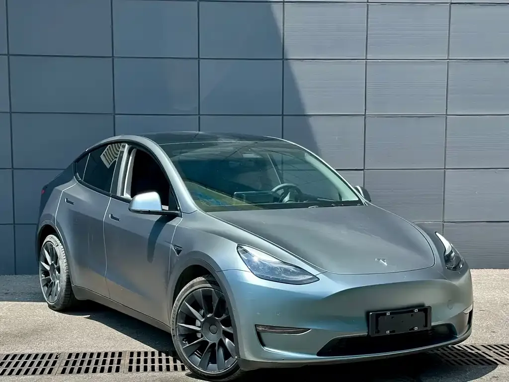 Tesla Model Y 2021 из CN, фото 9