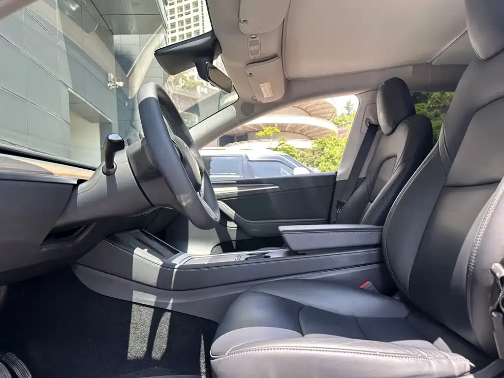Tesla Model Y 2021 из CN, фото 2