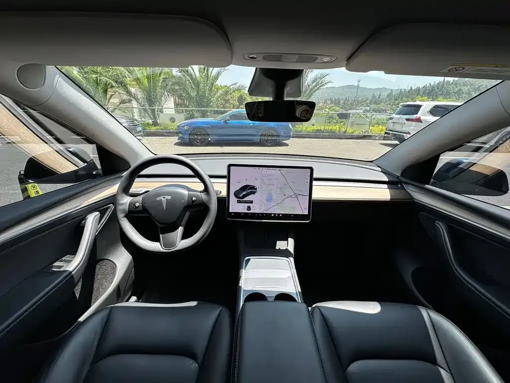 Tesla Model Y 2021 из CN, фото 5