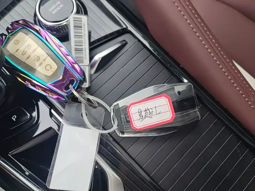 Geely Xingyue L 2023 из CN, фото 6