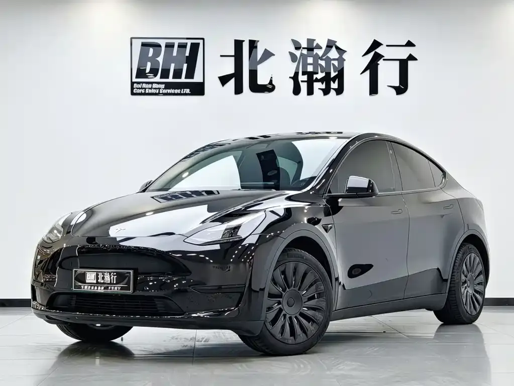 Tesla Model Y — фото 1