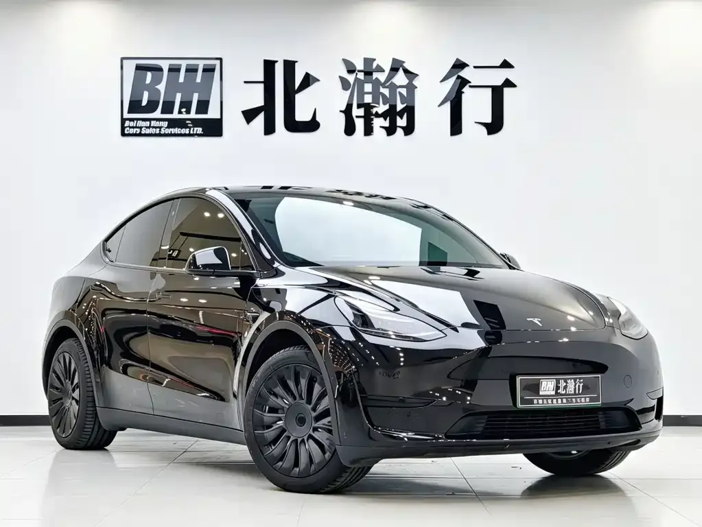 Tesla Model Y — фото 8