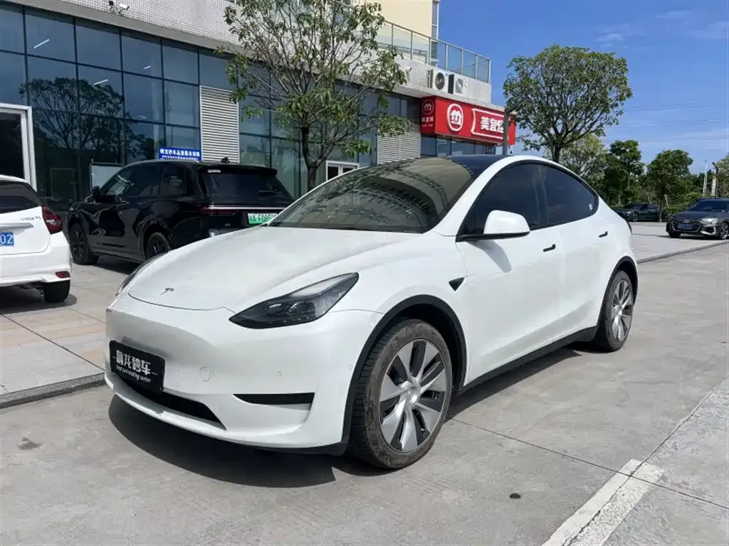 Tesla Model Y — фото 1