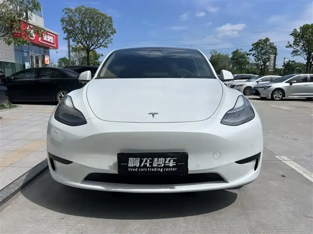 Tesla Model Y — фото 4