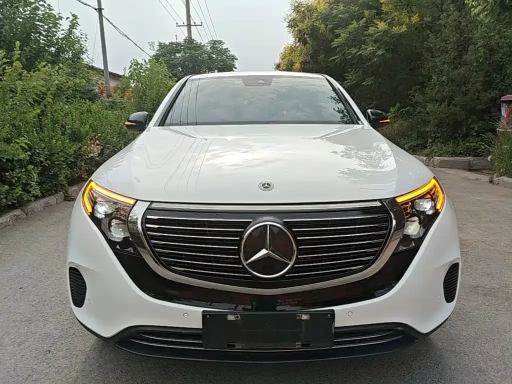 Mercedes-Benz EQC 2022 из CN, фото 5