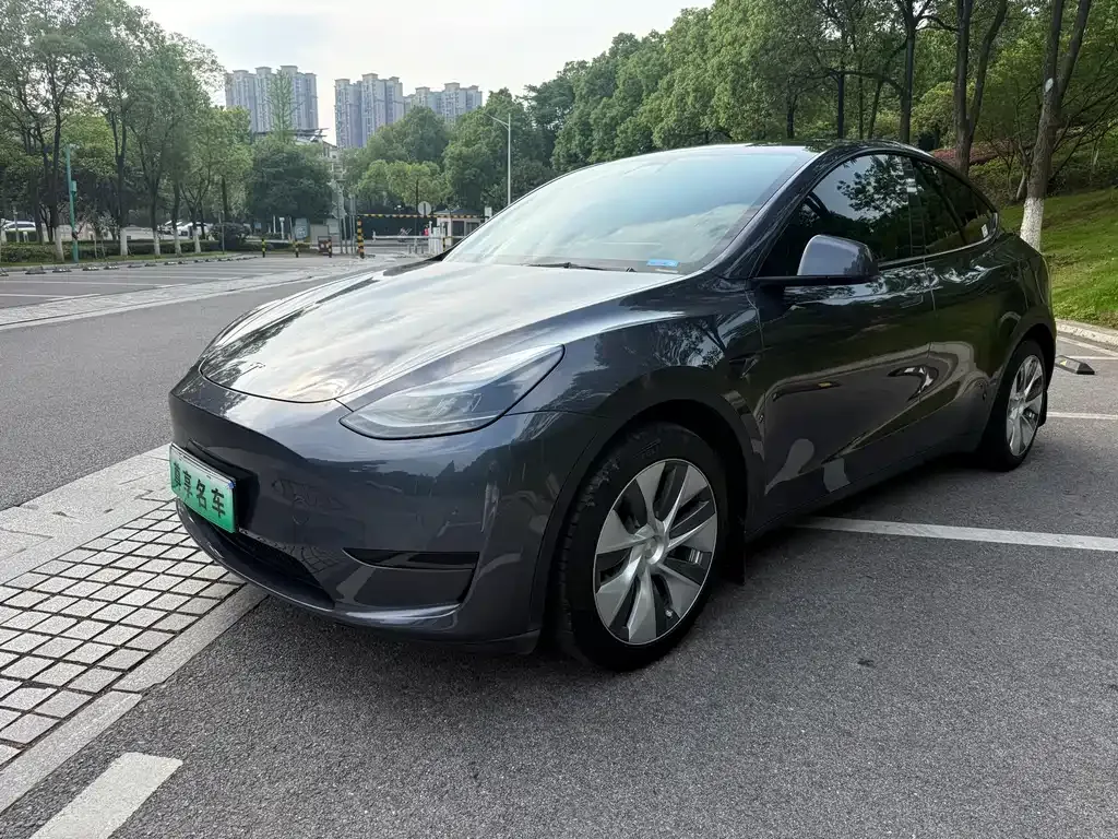 Tesla Model Y — фото 1