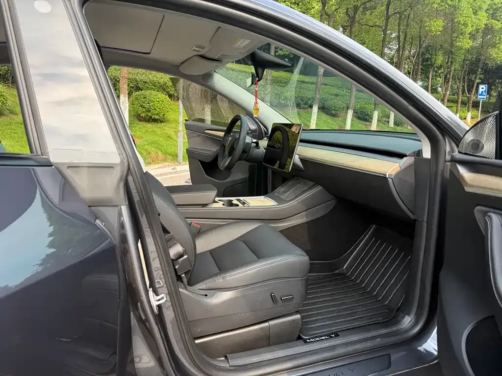 Tesla Model Y — фото 6