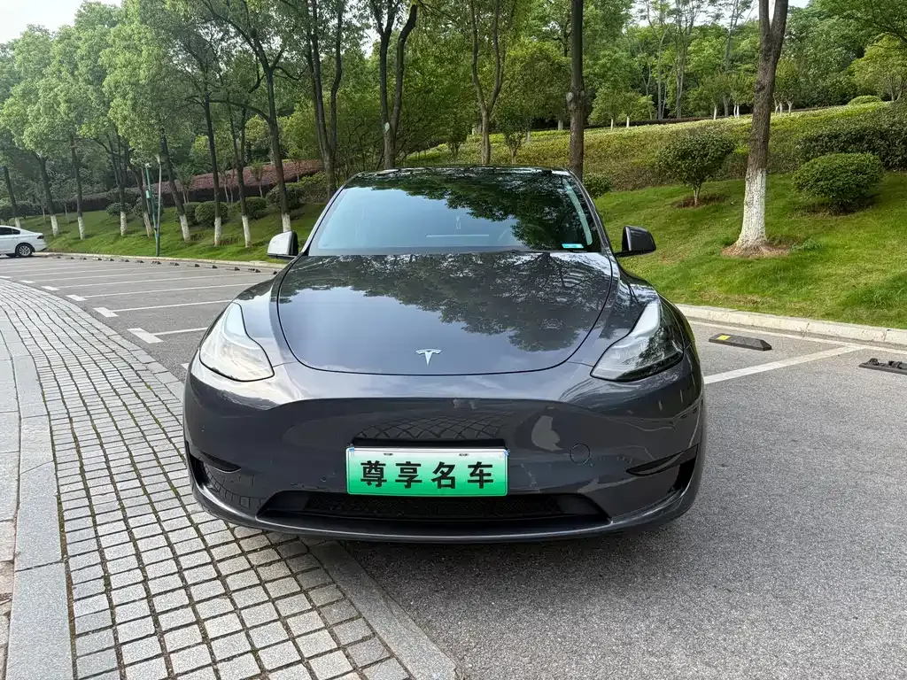 Tesla Model Y — фото 10