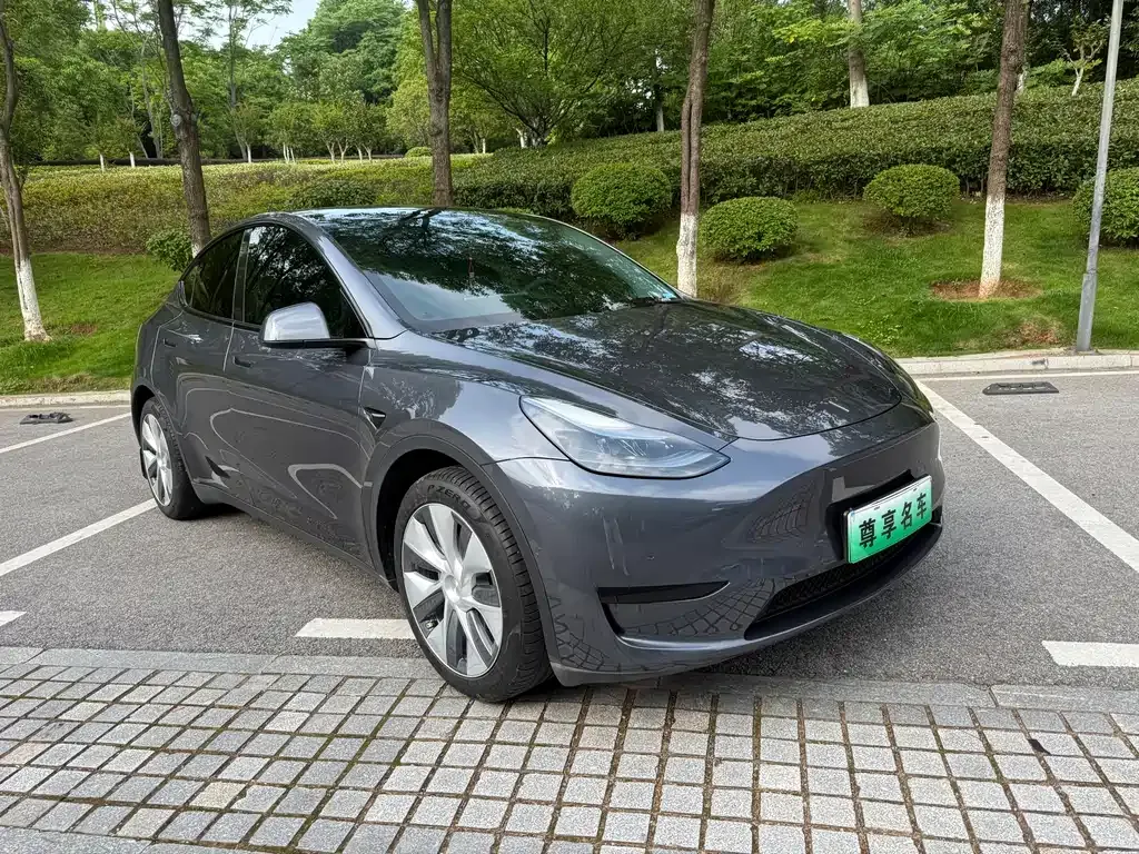 Tesla Model Y — фото 9