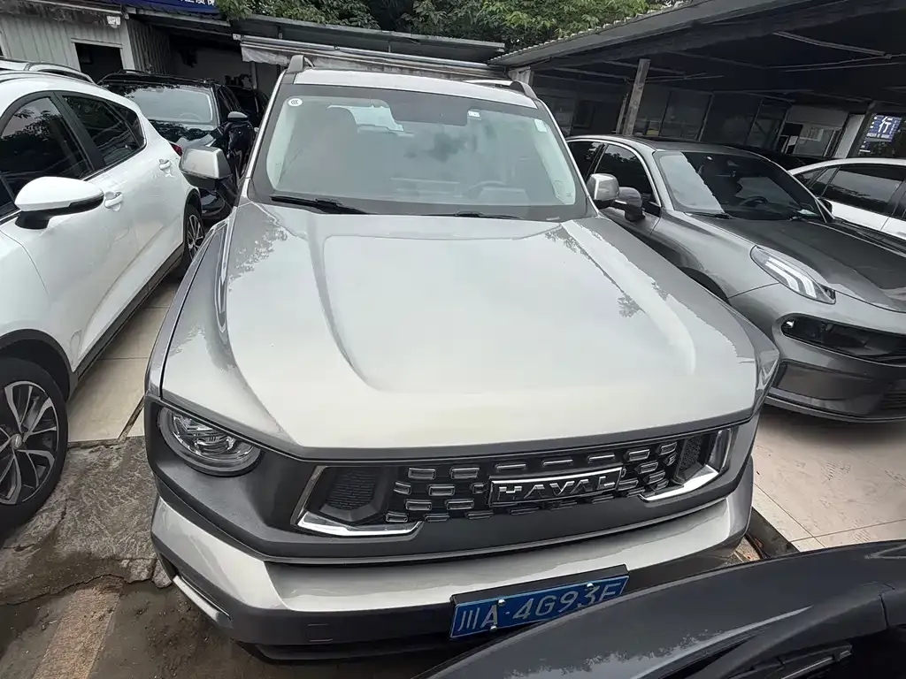 Haval Big Dog 2023 из CN, фото 4