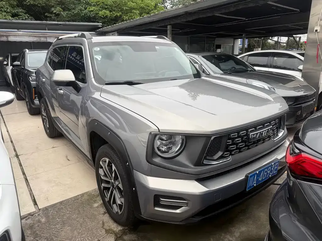 Haval Big Dog 2023 из CN, фото 6