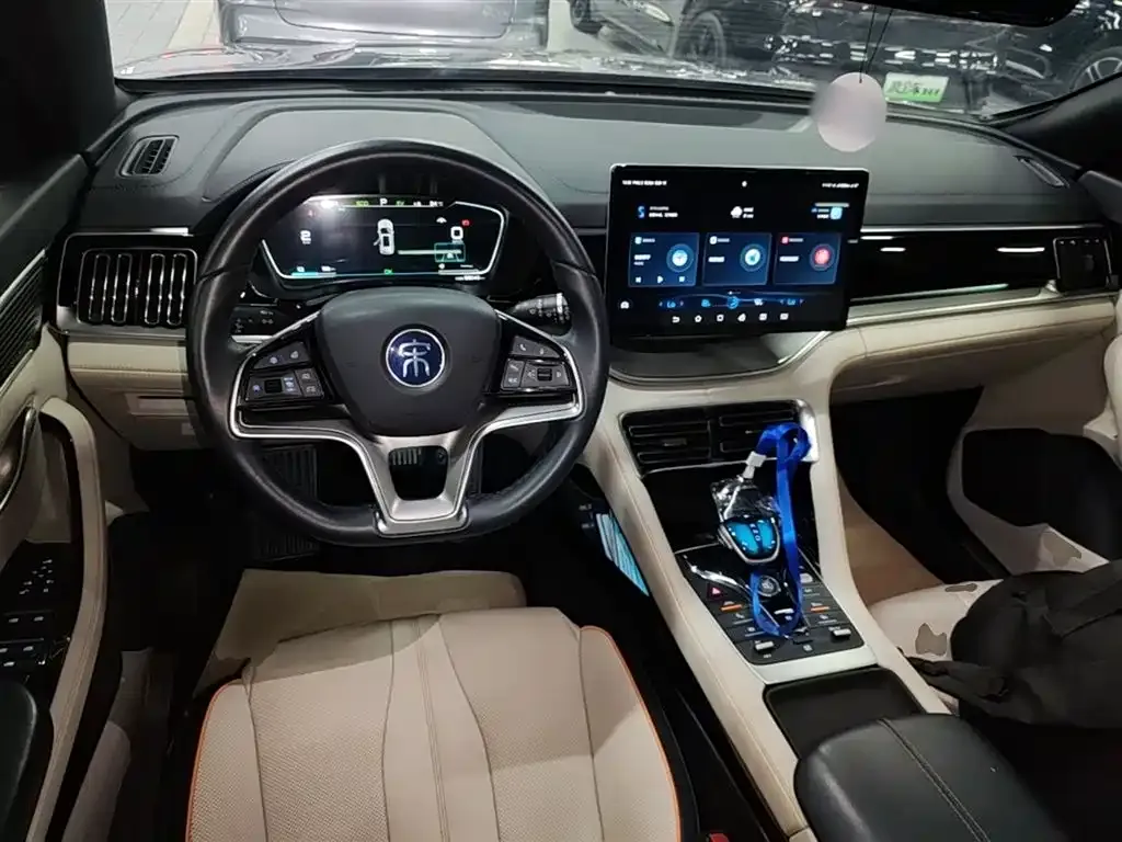 BYD PLUS New Energy — фото 2