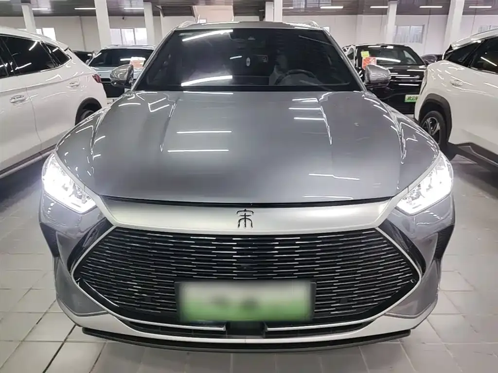 BYD PLUS New Energy — фото 10