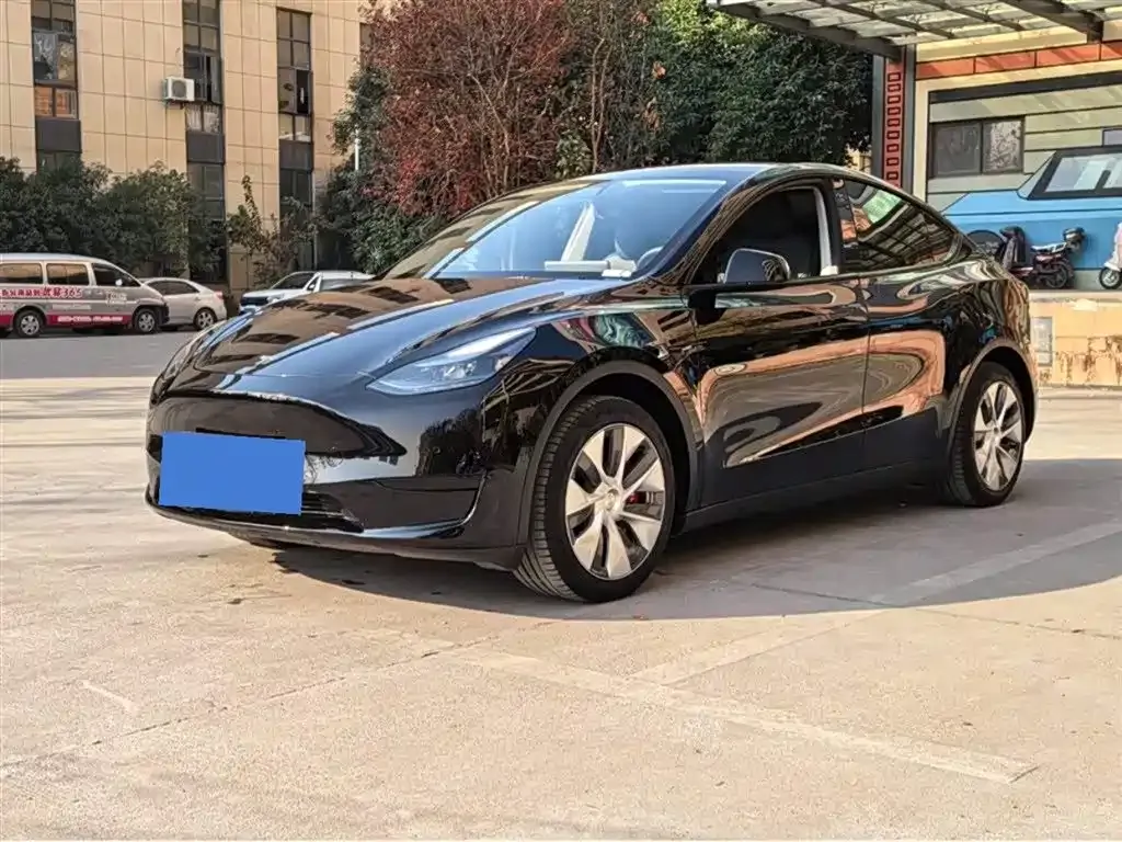 Tesla Model Y — фото 1