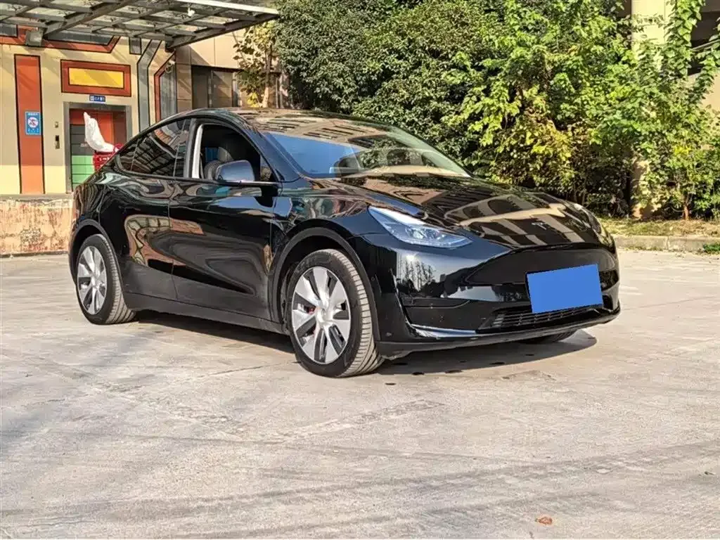 Tesla Model Y — фото 8