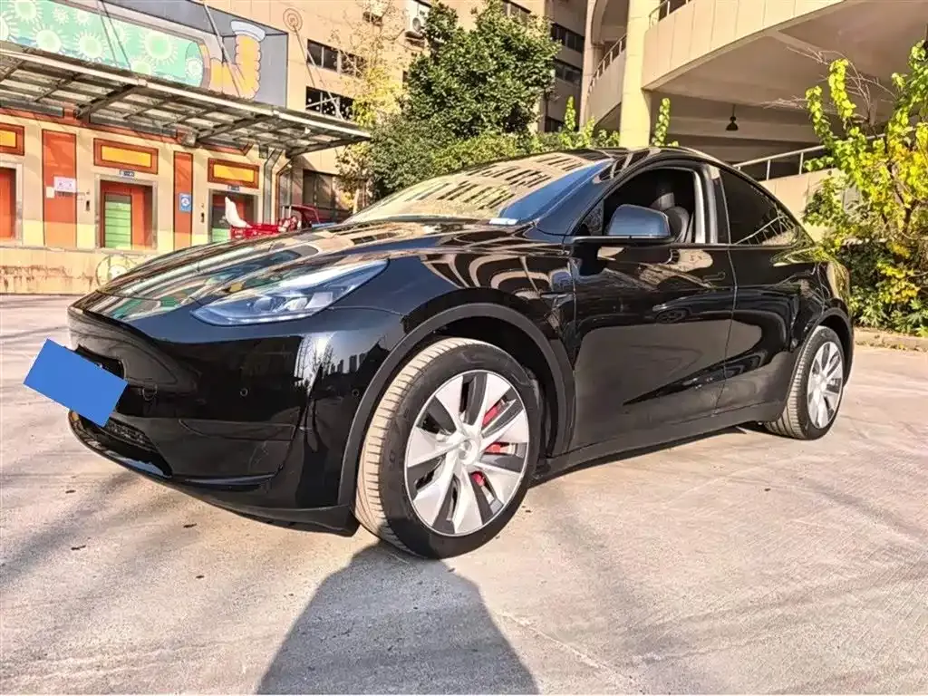 Tesla Model Y — фото 5