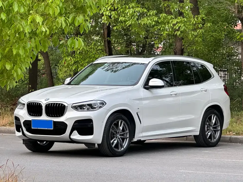 BMW X3 — фото 1