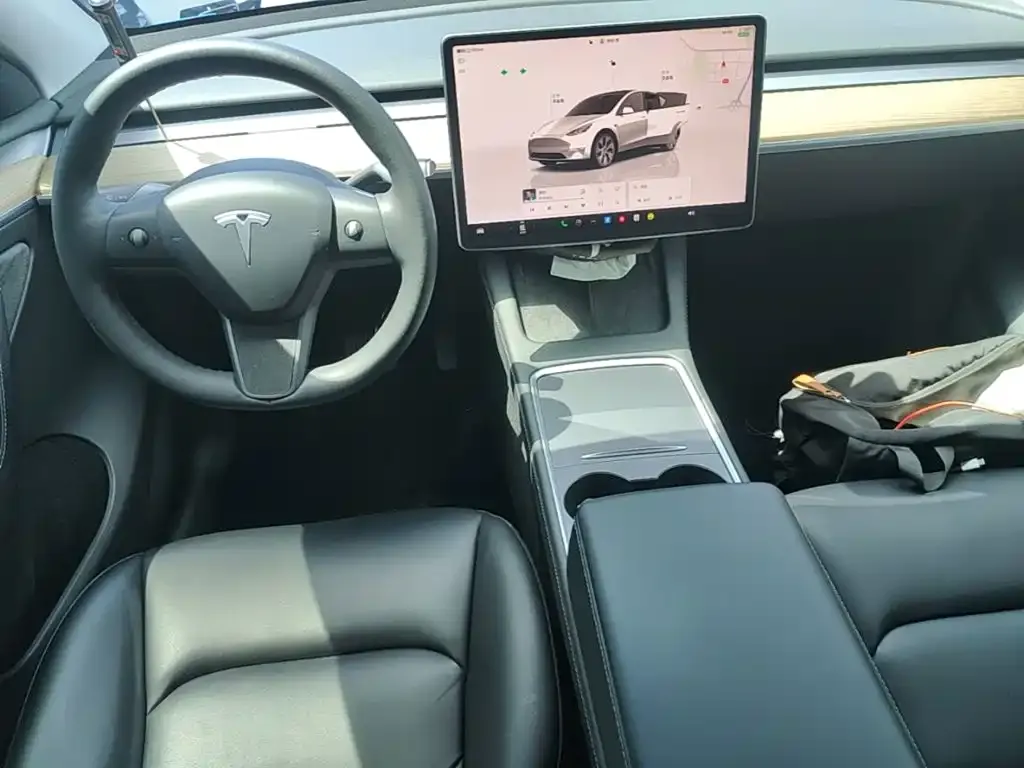 Tesla Model Y — фото 5
