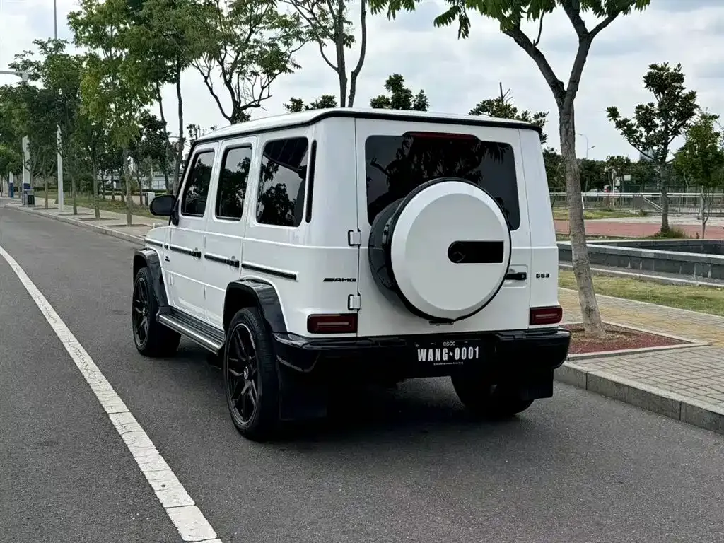Mercedes-Benz G-Class 2021 из CN, фото 6