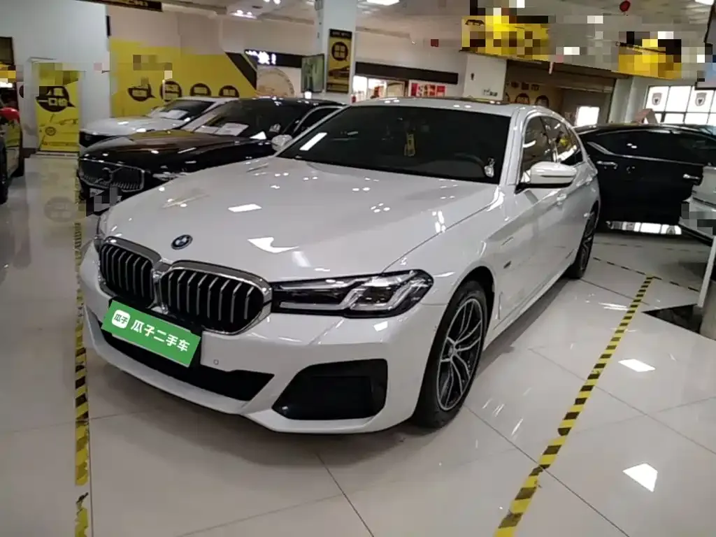 BMW 5 Series New Energy — фото 8