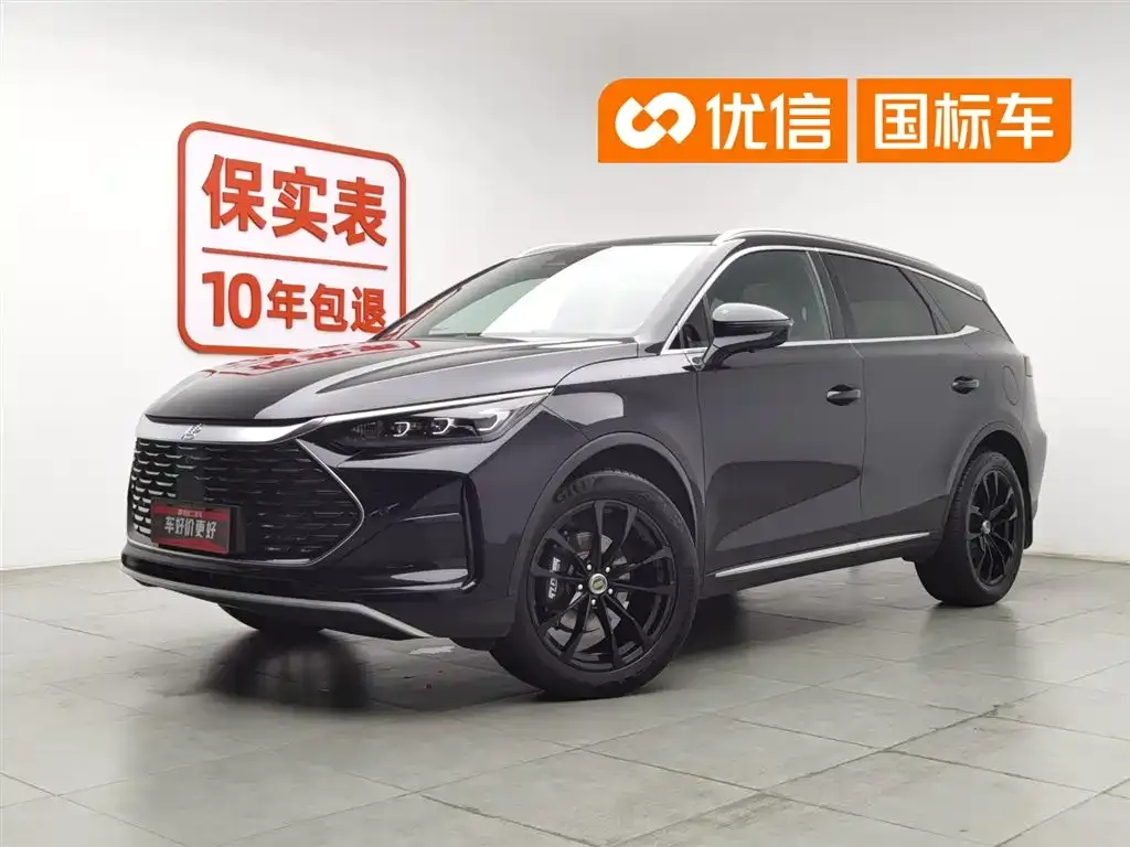 BYD Tang New Energy — фото 1
