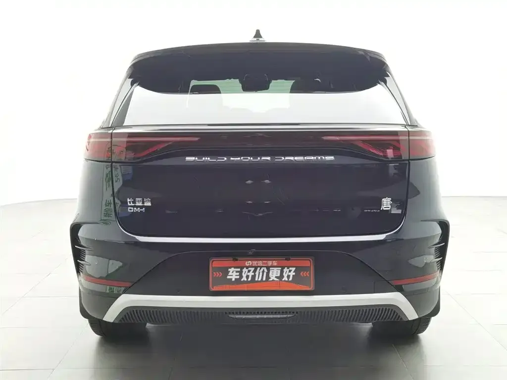 BYD Tang New Energy — фото 3