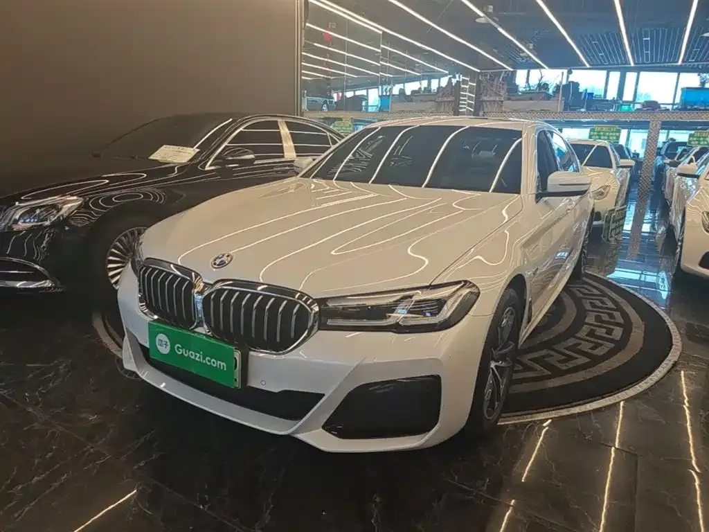 BMW 5 Series New Energy — фото 1