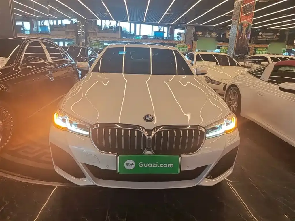 BMW 5 Series New Energy — фото 4