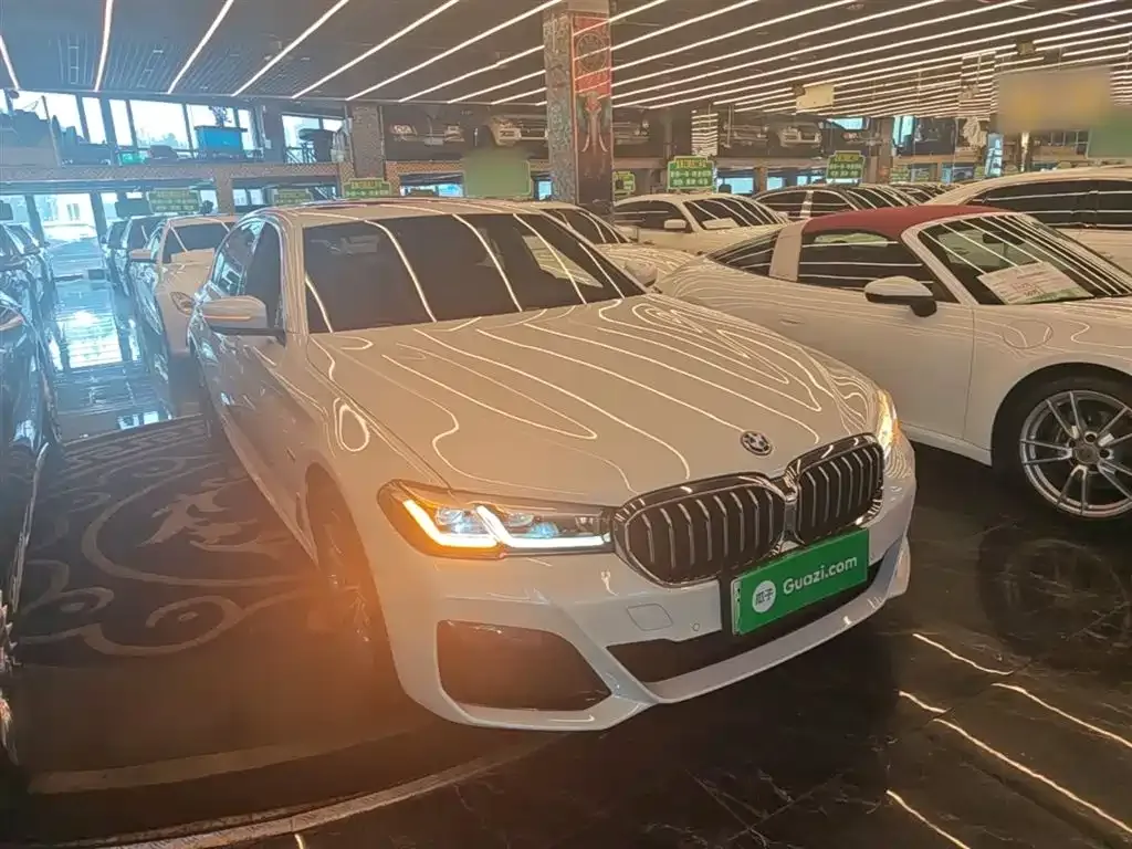 BMW 5 Series New Energy — фото 2