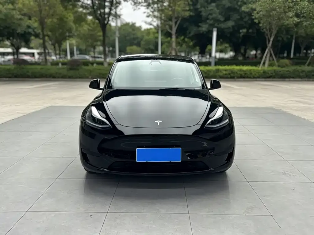 Tesla Model Y — фото 2