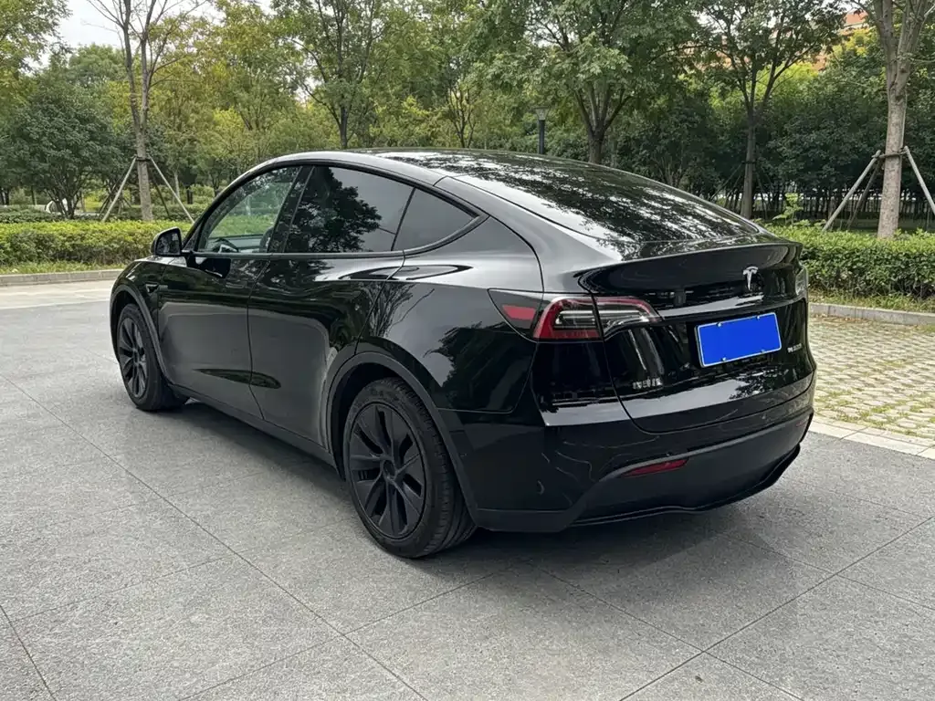 Tesla Model Y — фото 6