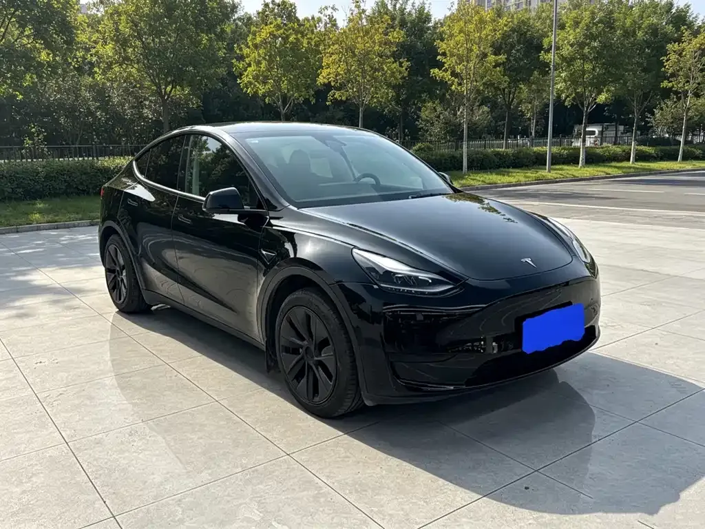 Tesla Model Y — фото 5